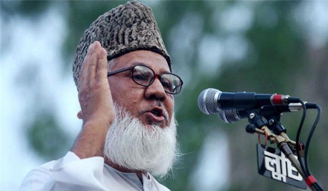 Nizami Foundation Video